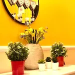 La Maison Blanche 公寓 卡塔尼亚